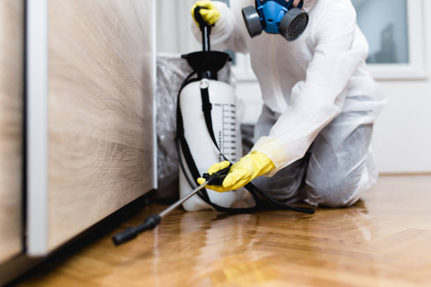Best Cockroach Control Services  in Goodhue, MN
