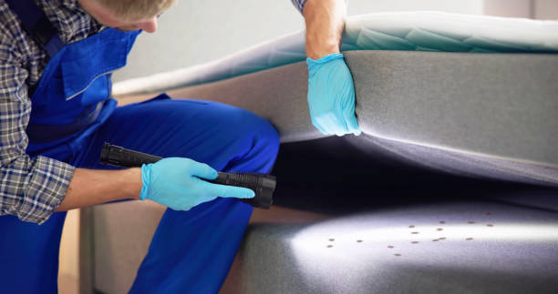 Best Pest Removal Services  in Goodhue, MN