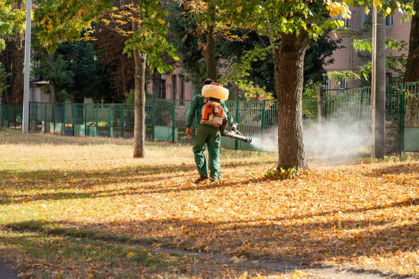 Best Residential Pest Control  in Goodhue, MN