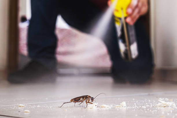 Wildlife Control Services in Goodhue, MN