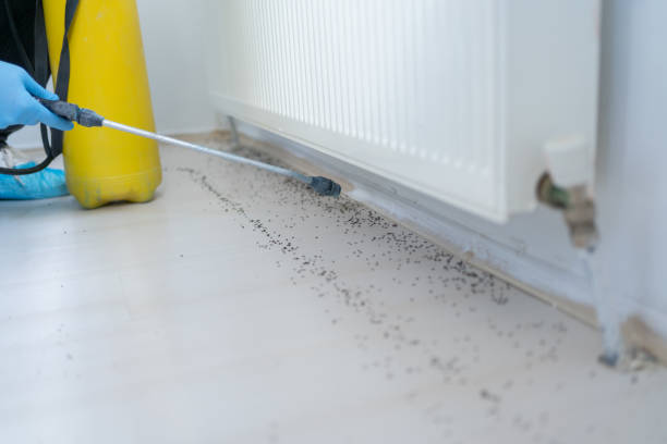 Best Cockroach Control Services  in Goodhue, MN